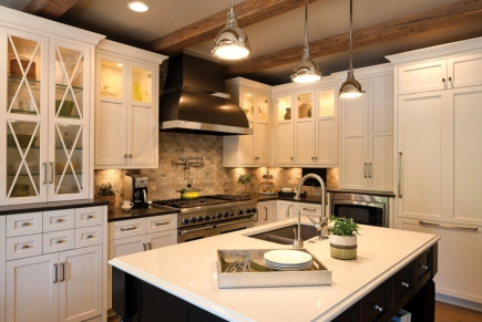 Black and White Frameless Cabinetry